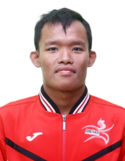ARIS WIBAWA