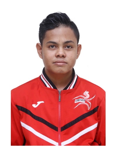 M FAHMI SALAM