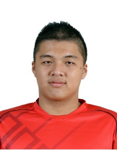 TING JIN PING