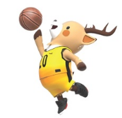 WHEELCHAIR BASKETBALL